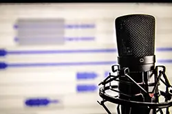Professional Video Translation Services
