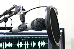 Professional Voiceover Services