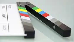Transcription Translation Services Professional