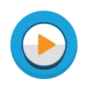 Video Translation Services