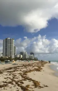 Interpretation Services in Miami