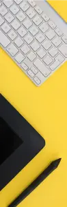 Professional Transcreation