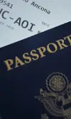 translation of official documents image