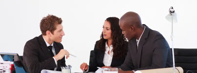 Government Translation Service image