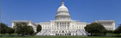 translation services washington