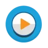 Video Translation Services